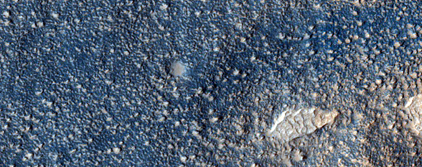 Terrain Sample