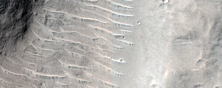 Curve in Valley in Northern Terra Cimmeria