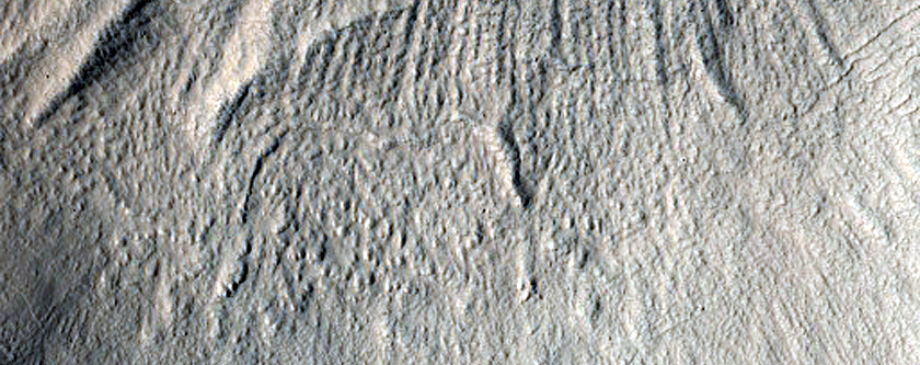 Gully Monitoring