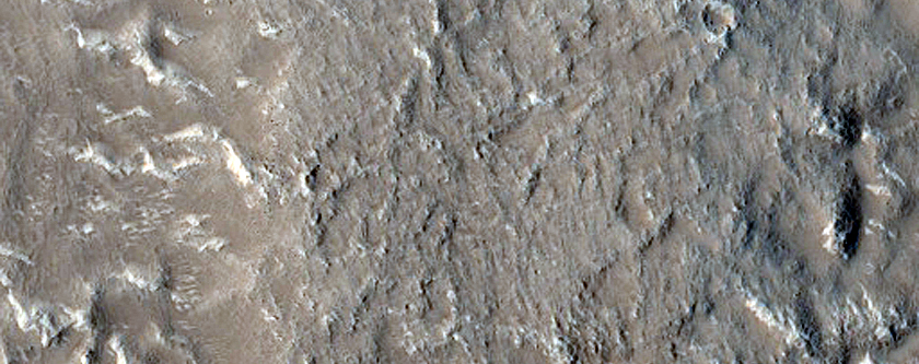 Terrain Sample