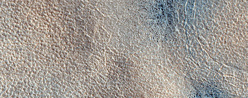 Terrain Sample