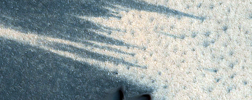 Polar Plains Dunes in Summer