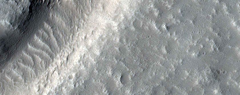 Terrain Sample