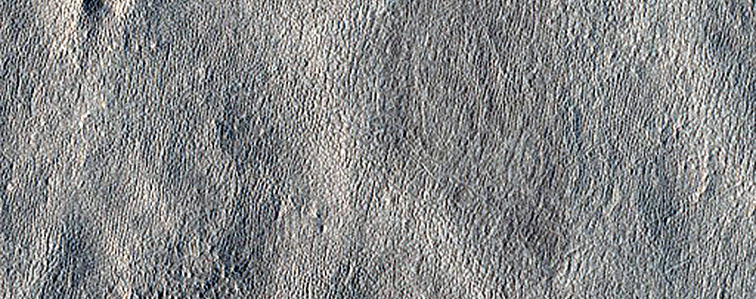 Light-Toned Mesas in Arcadia Planitia