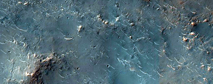 Diverse Minerals in Terra Tyrrhena Crater Ejecta