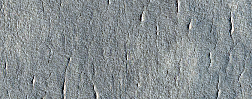 Scalloped Ejecta Margin