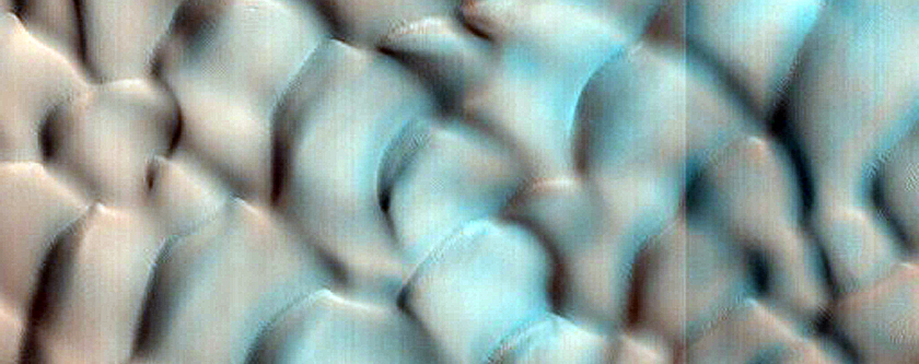 Dune Monitoring in Crater