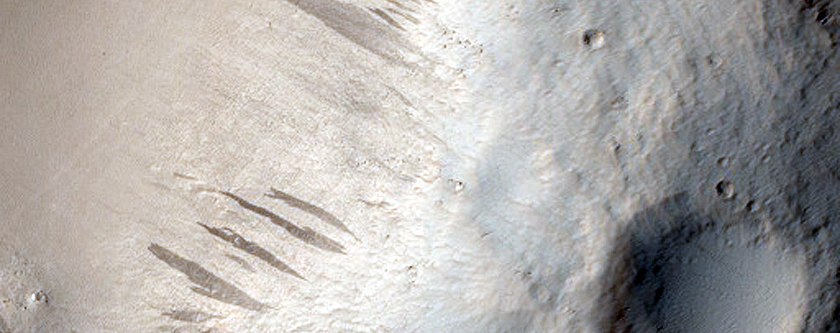 Terrain Sample