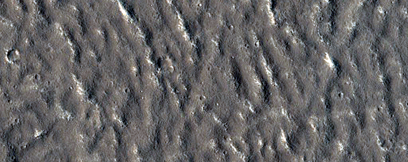 Candidate Recent Impact Site