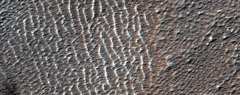 Candidate Recent Impact Site
