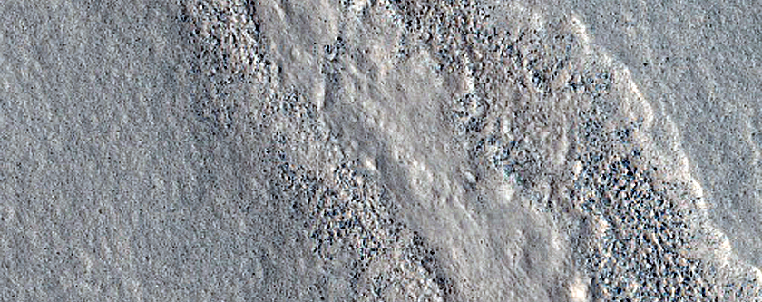 Channelized Flow in Arcadia Planitia