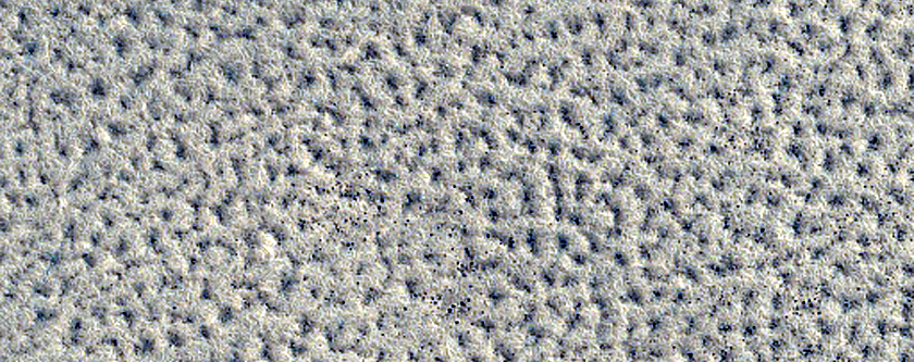 Northern Plains Monitoring