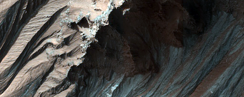 Light-Toned Gully Deposits in Hale Crater