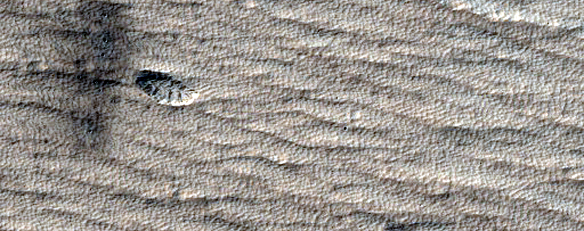 Candidate Recent Impact Site