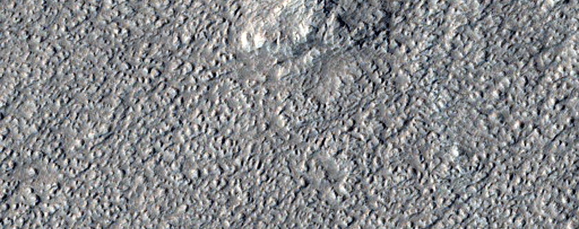 Dust Devil Survey in Amazonis Planitia