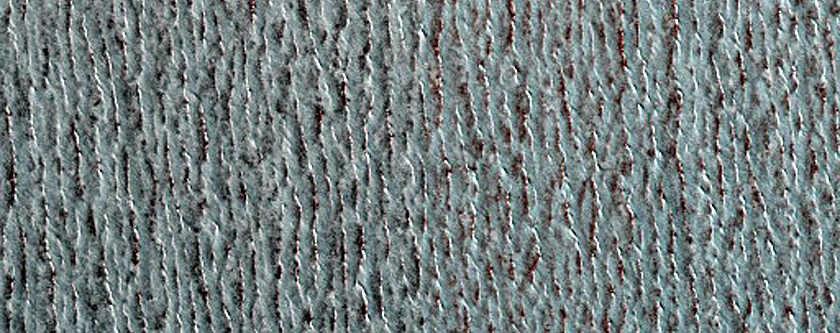 North Polar Residual Cap Monitoring Site