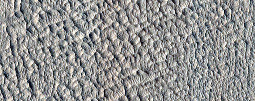 Candidate Recent Impact Site