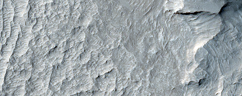 Ridge Networks Southeast of Nepenthes Mensae