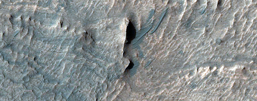 Monitoring Dark Dunes in Ius Chasma