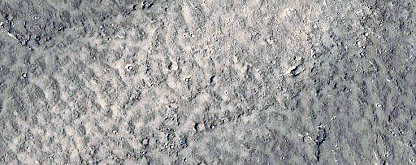 Lava Flows in Elysium Region