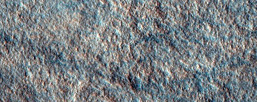 Dust Devil Tracks in Arcadia Planitia