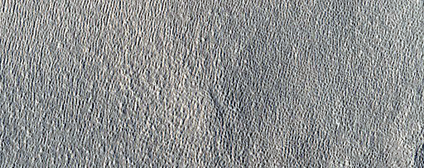 Unit Contact on Northern Plains