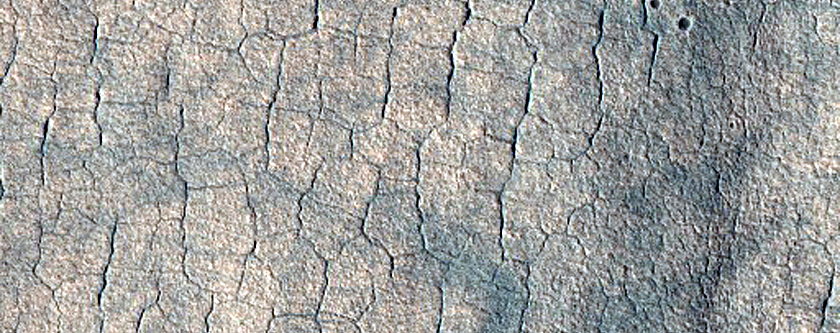 Scalloped Depressions in Utopia Planitia