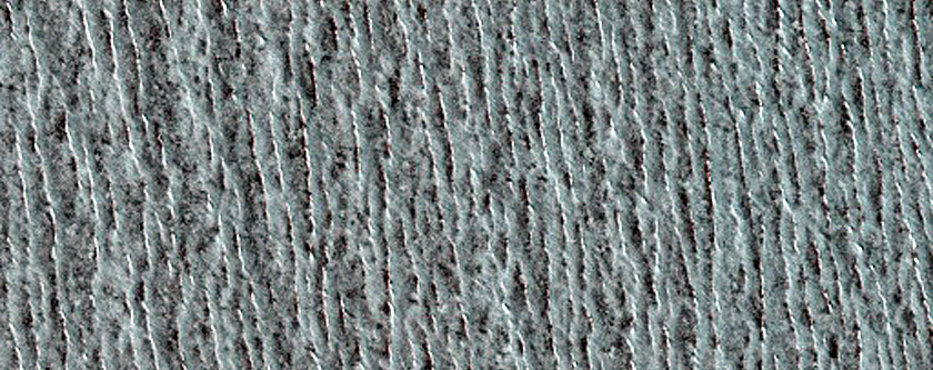 North Polar Residual Cap Monitoring