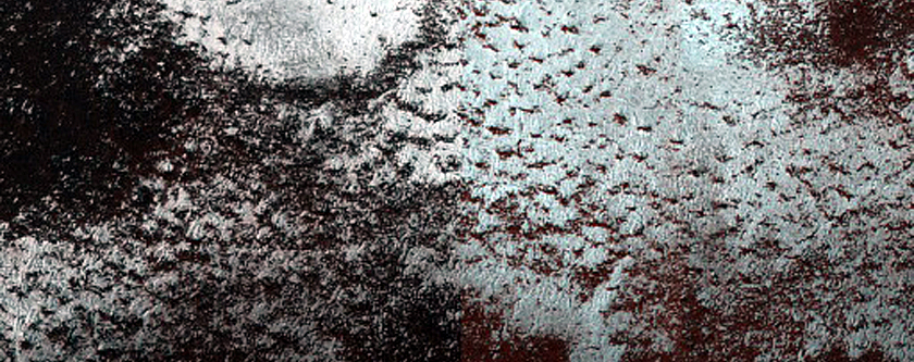 Fringe of Perennial Ice