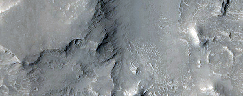 Ridges in Nepenthes Mensae