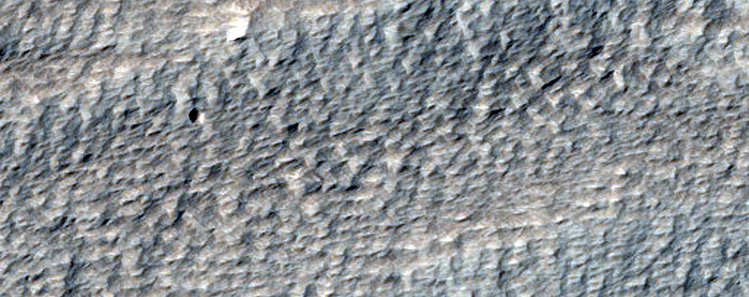 Terrain Sample on North Side of Pavonis Mons