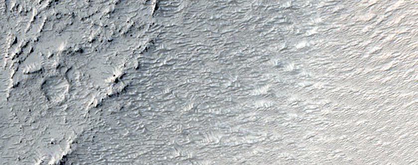 Lava Margin in Elysium Planitia