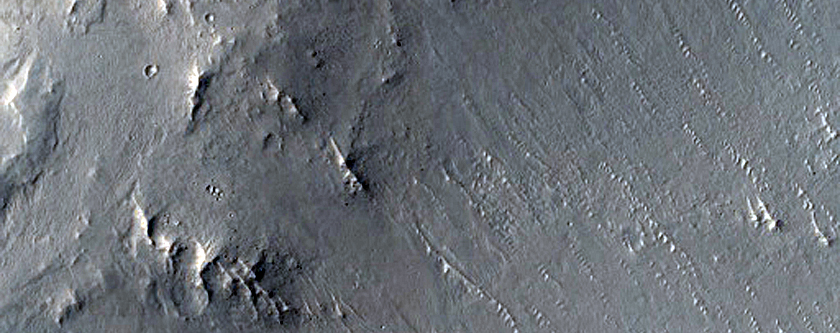 Terrain Sample