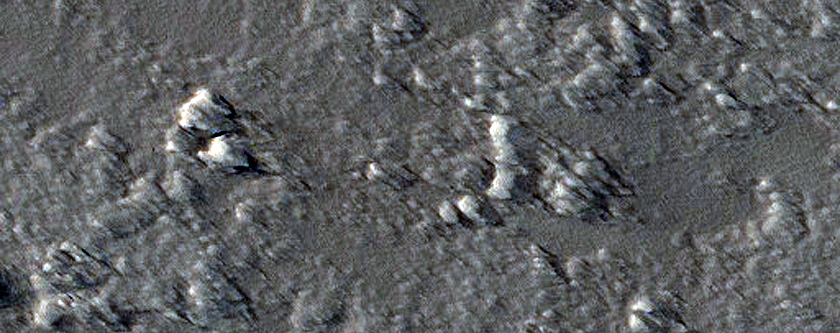 Terrain Sample