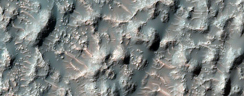 Crater Floor Bedrock in Northern Terra Cimmeria