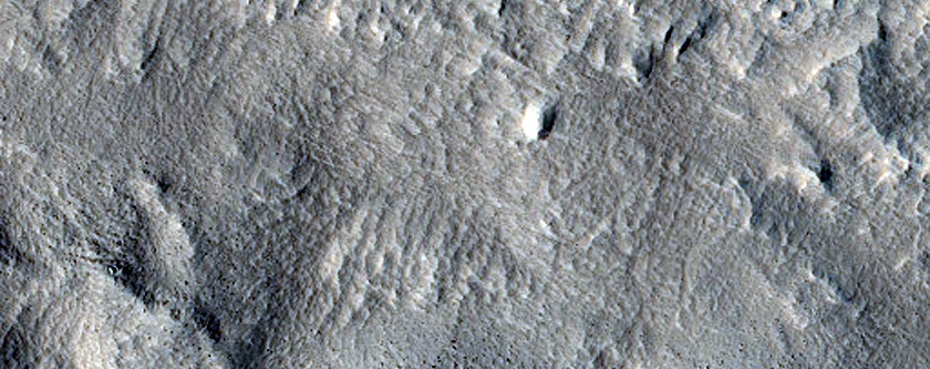 Terrain Sample