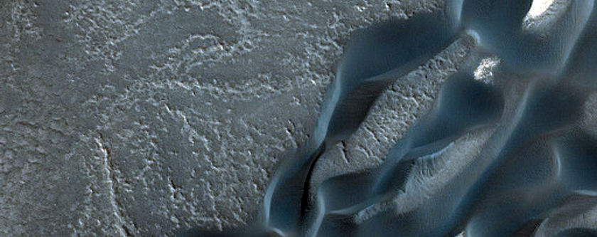 Polar Barchan Dune Convoy at Head of Olympia Undae