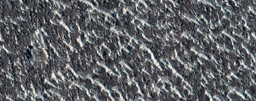 Candidate Recent Impact Site