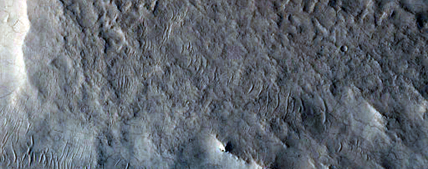 Ridges in Northern Mid-Latitudes
