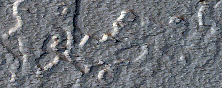 Candidate Recent Impact Site