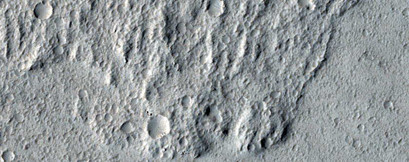 Terrain Sample
