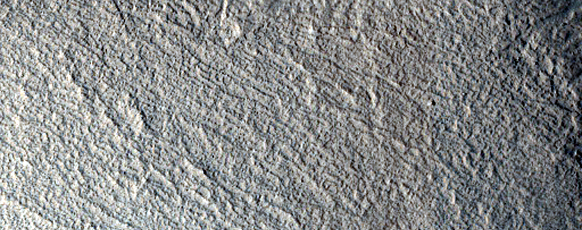 Albedo Monitoring in Phlegra Dorsa