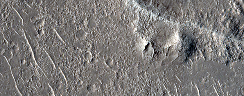 Terrain Sample