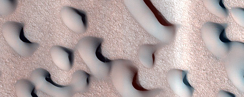 Polar Dunes Monitoring