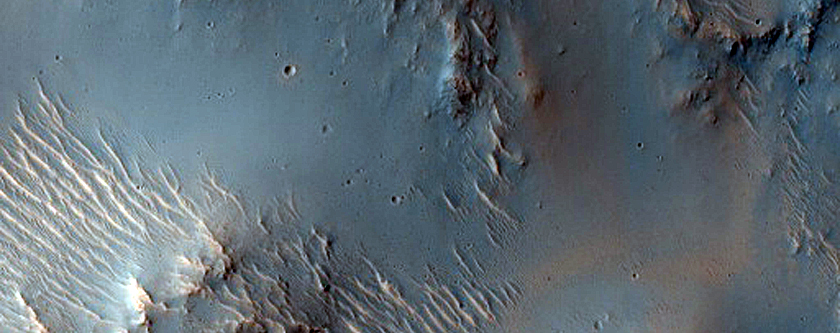 Uncommon Clay Mineral in Sedimentary Plain