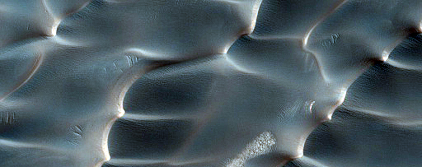 Olympia Undae Dune-Ice Survey