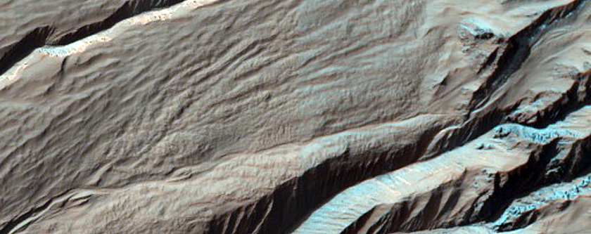 Gully Frost Monitoring