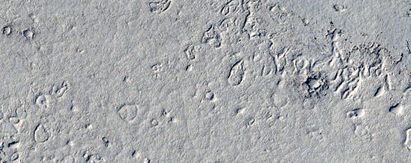 Elysium Planitia Lava