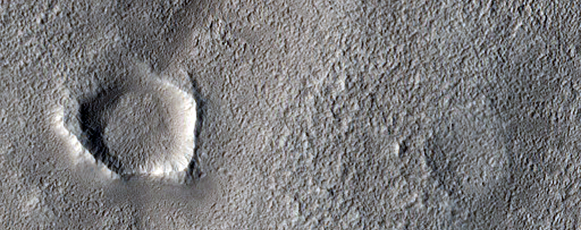 Terrain South of Deuteronilus Colles