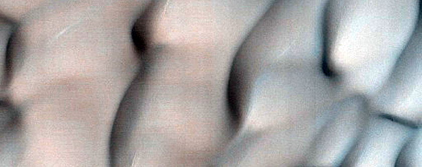 Polar Crater with Dunes and Patterned Ground